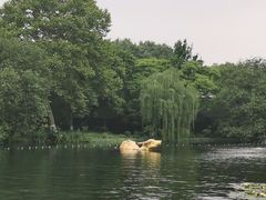 -西湖天地