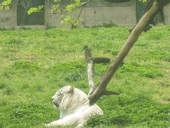 -西安秦岭野生动物园