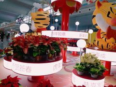-广州白云国际机场-T2航站楼