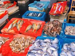 -芦潮港集贸市场