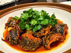 -新天明砂锅鱼头煲