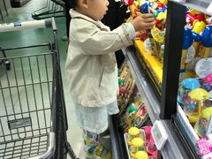 -盒马鲜生(大成店)