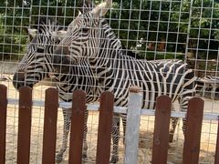 -泉州海丝野生动物世界