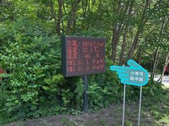 -五营国家森林公园