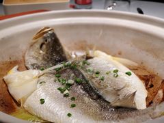 砂锅黄鱼-鱼乐轩·俄罗斯海鲜直供餐厅(群力店)