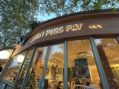 -WHEN PIGS FLY当猪飞