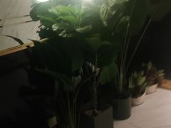 -泽西岛·影院沐足SPA(西大街店)