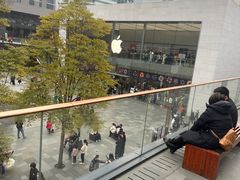 -Apple零售店(成都太古里店)