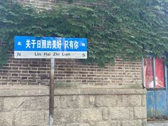 -日照海滨国家森林公园