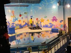 -太平洋海底世界