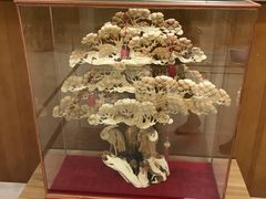 -星云文教馆