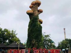 -大连海昌发现王国主题公园