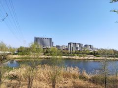 -白河湾生态旅游一条川