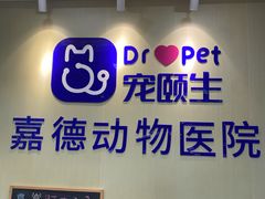 -宠颐生嘉德动物医院
