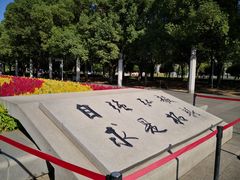 -武汉大学-樱园