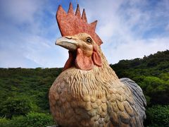 -放鸡岛生态旅游国际度假区