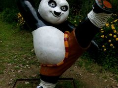 -秀丽东方