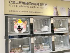 -翊宠yipet猫狗购宠庄园犬舍•猫舍