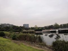 -同济大学(嘉定校区)