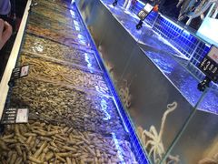 -必点海鲜·鲅鱼水饺(鞍山西道店)
