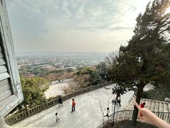 -上海佘山国家森林公园西佘山园