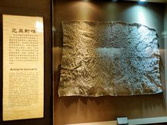 -海南槟榔谷黎苗文化旅游区