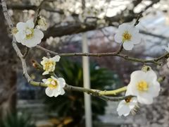 -北京鹫峰国家森林公园