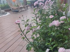 -小茶闲舍·观景商务茶馆(广州塔店)