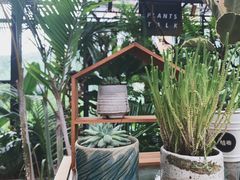 -北马山庄植趣咖啡
