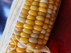 -光明刘冰乳鸽店(光明法政北路店)