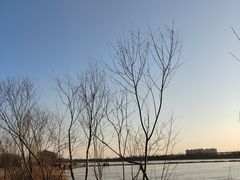-绿堤公园