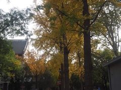 -山东大学(趵突泉校区)