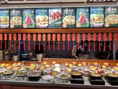 -邵年鸽(杨庄店)