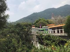 -深圳仙湖植物园-停车场