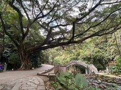 -广州市石门国家森林公园