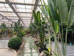 -兴芮温泉度假区