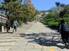 -府君山公园