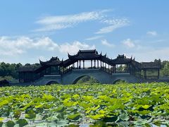 -上海海湾国家森林公园