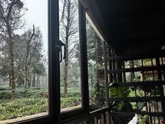 -野蔓果·山野菜(西湖景区·龙井茶田店)