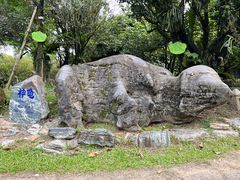 -云南勐巴娜西珍奇园