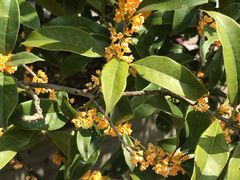 -苏州河梦清园环保主题公园