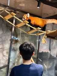 -Zoolung Zoolung动物主题公园(海信广场店)