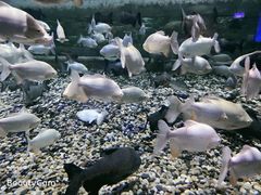 -成都浩海立方海洋公园