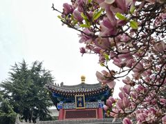 -西安市广仁寺
