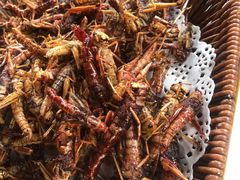 -向民炒鸡老店(火车站店)