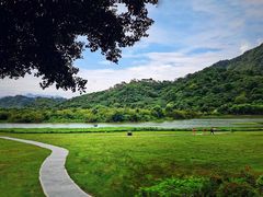 -风云岭森林公园