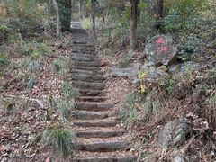 -青龙山国家森林公园