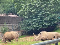 -大连森林动物园