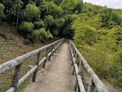-宝界山林公园