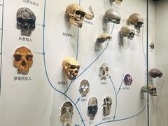 -柳州白莲洞洞穴科学博物馆